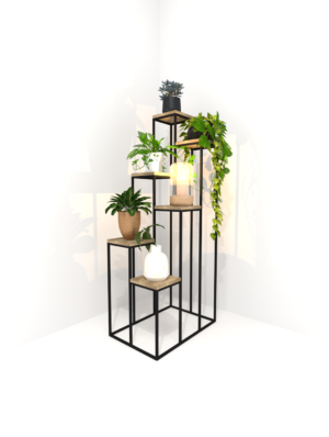 6Plant